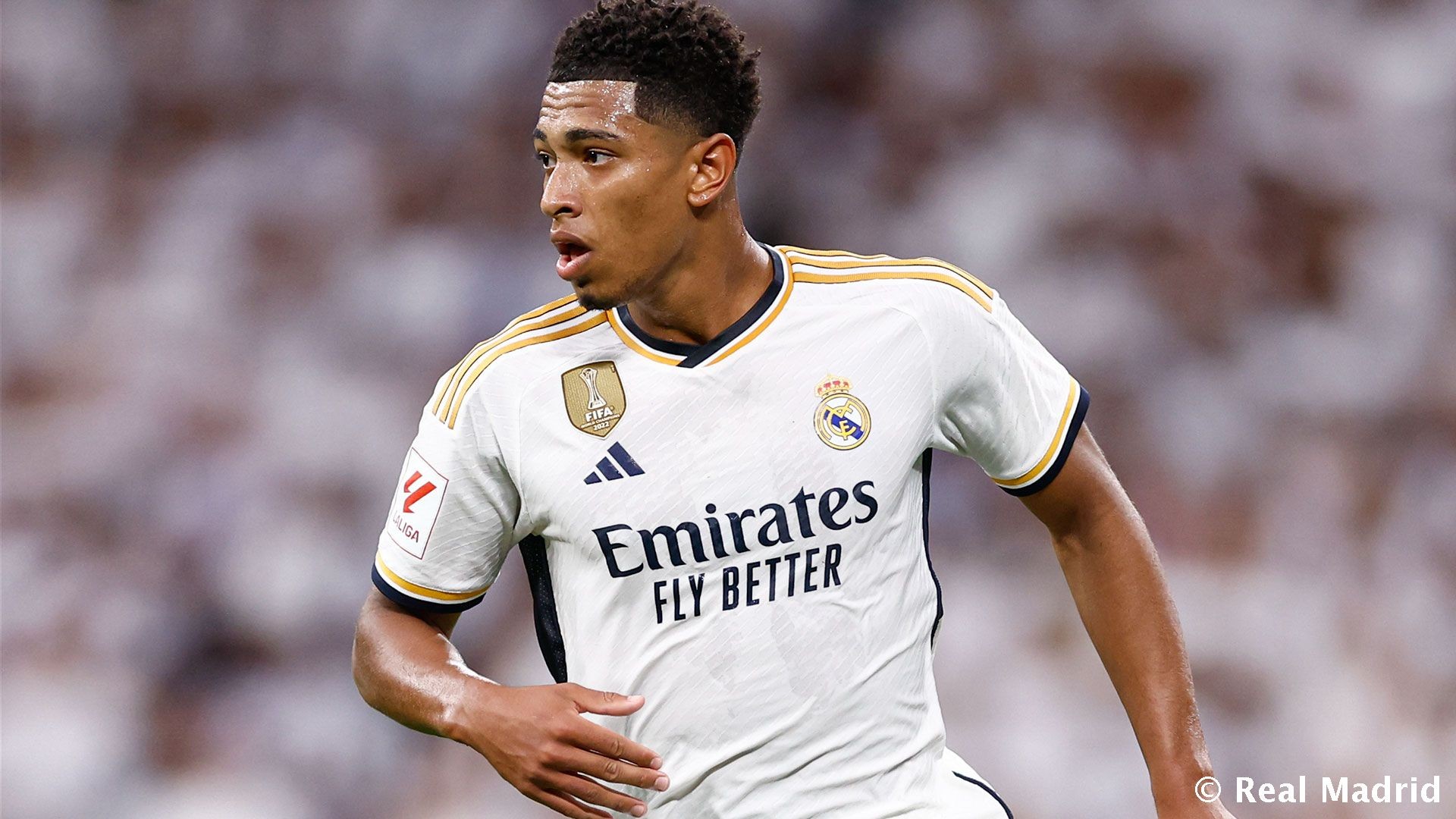 洛杉矶FC结束本赛季美职之旅，孙兴慜与梅西对决可能性破灭（洛杉矶FC本季MLS征程告终，孙兴慜与梅西交锋无望）